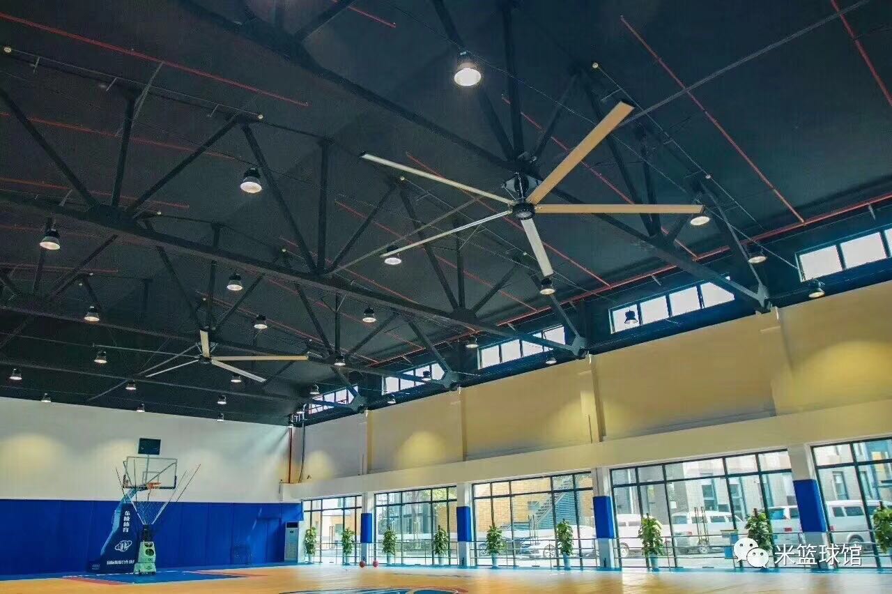 体育文旅